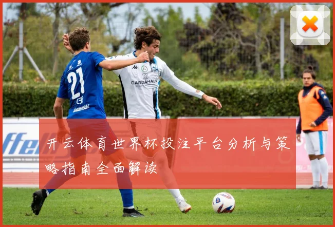 开云体育世界杯投注平台分析与策略指南全面解读
